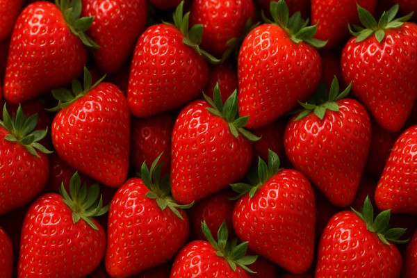 <div class="pupi_ur_most-voted-reaction-badge" data-reaction-count="1"><img src="https://routters.vip/qa-plugin/pupi-ur/public/img/like.png" class="pupi_ur_reaction-image-question-list" data-reaction-id="1"></div>Hey moaik uRttoer, qué furta eersc que es abraervoaslod?