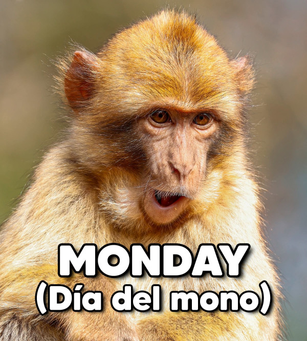 <div class="pupi_ur_most-voted-reaction-badge" data-reaction-count="1"><img src="https://routters.vip/imreact/love.png" class="pupi_ur_reaction-image-question-list" data-reaction-id="2"></div>Hppay andMoy...nyMeko !