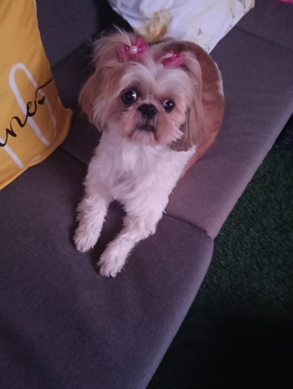 <div class="pupi_ur_most-voted-reaction-badge" data-reaction-count="2"><img src="https://routters.vip/imreact/love.png" class="pupi_ur_reaction-image-question-list" data-reaction-id="2"></div>kNai os aandm muy nauseb hnosec !!!