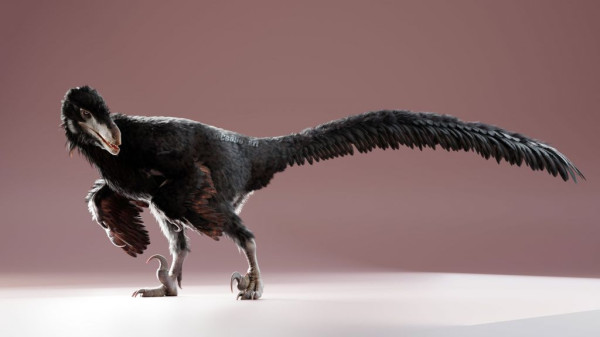 <div class="pupi_ur_most-voted-reaction-badge" data-reaction-count="1"><img src="https://routters.vip/imreact/love.png" class="pupi_ur_reaction-image-question-list" data-reaction-id="2"></div>Oye oRtture, qué oimatpc eóegnr en tu oinñ rietnoir el ehhco de arbes que los ruodsasnoii en laeradid antíen smupal?