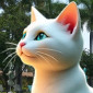 Una Gata